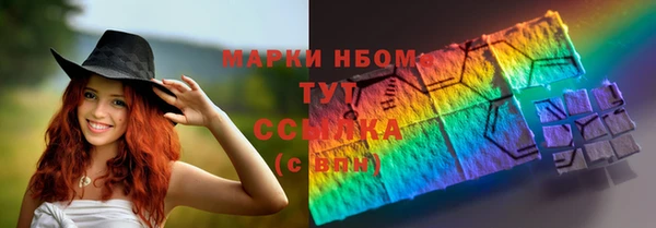 ГАЛЛЮЦИНОГЕННЫЕ ГРИБЫ Вяземский