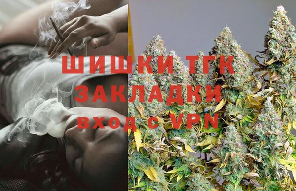 ГАЛЛЮЦИНОГЕННЫЕ ГРИБЫ Вяземский