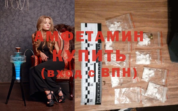 ГАЛЛЮЦИНОГЕННЫЕ ГРИБЫ Вяземский