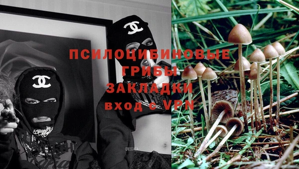 Альфа ПВП Вязьма
