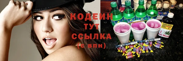 ГАЛЛЮЦИНОГЕННЫЕ ГРИБЫ Вяземский